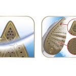 اتو بخار تفال مدل FV9845