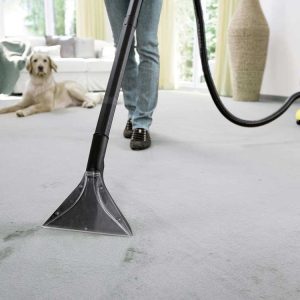 جاروبرقی سرامیک شوی و فرش شوی کرشر SE 4001